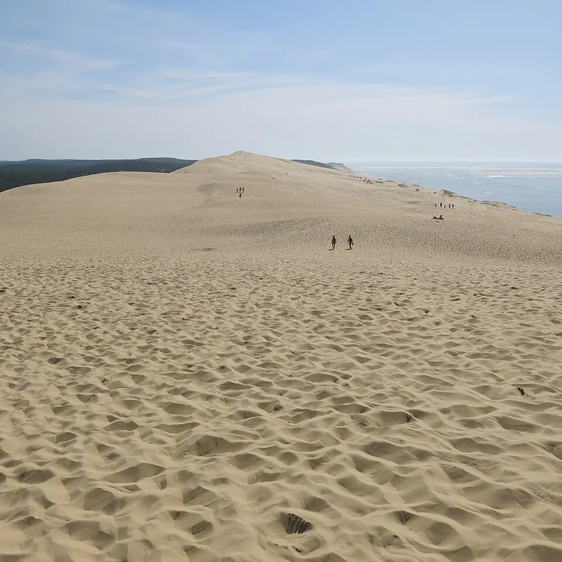 Sommet de la Dune du Pilat presque désert le matin