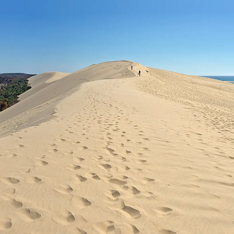 Crête de la Dune du Pilat sous le ciel bleu