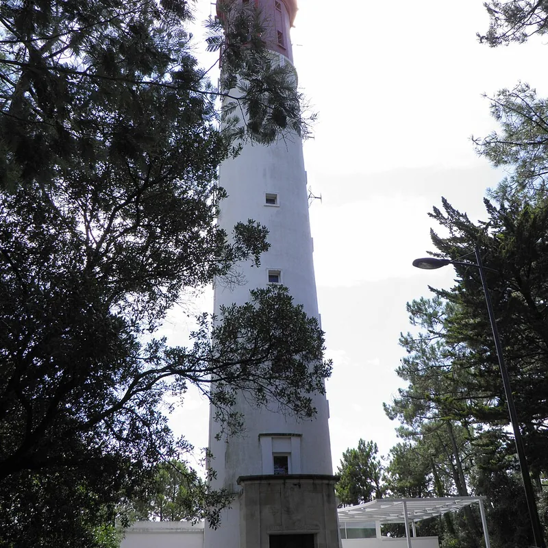 Le phare du Cap Ferret entre les pins