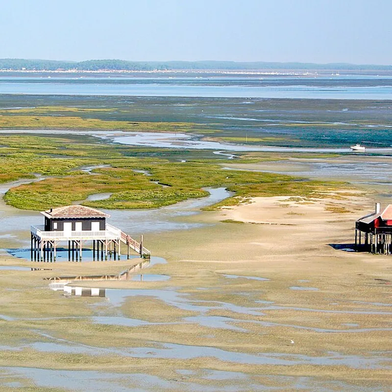 Cabanes tchanquées sur pilotis près de l'Île aux Oiseaux