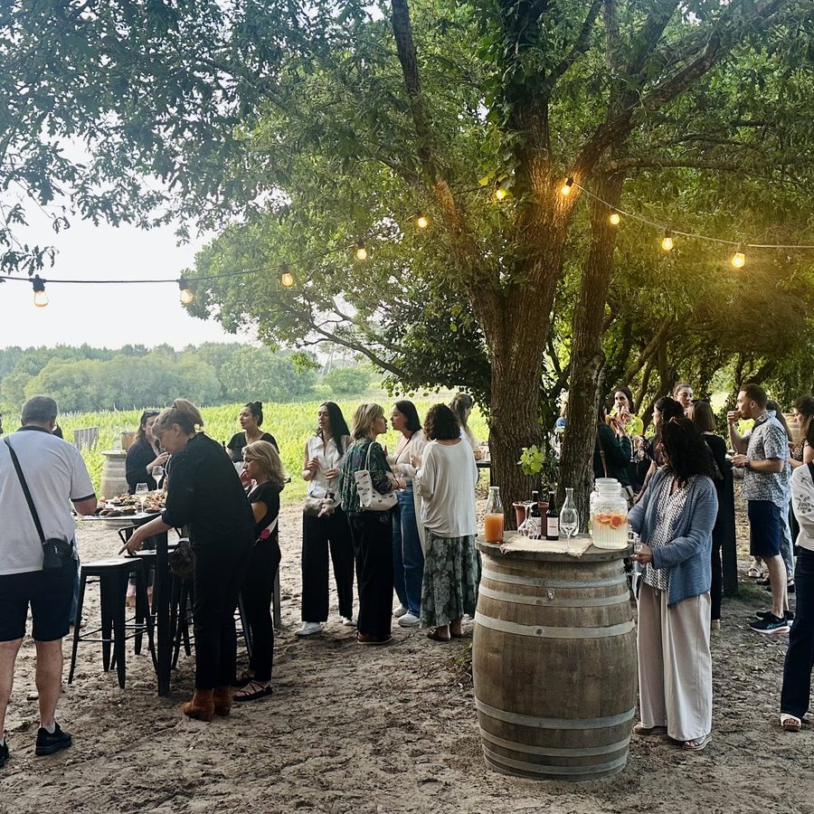 Dégustation de vin