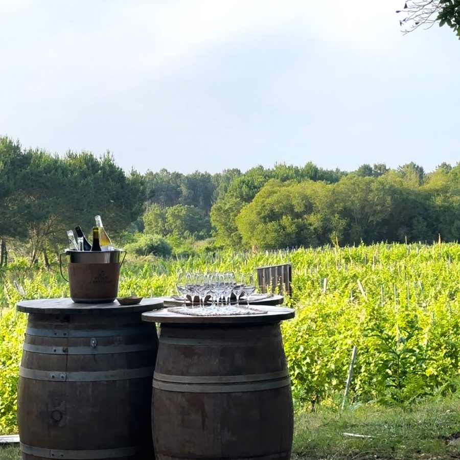 Dégustation de vin