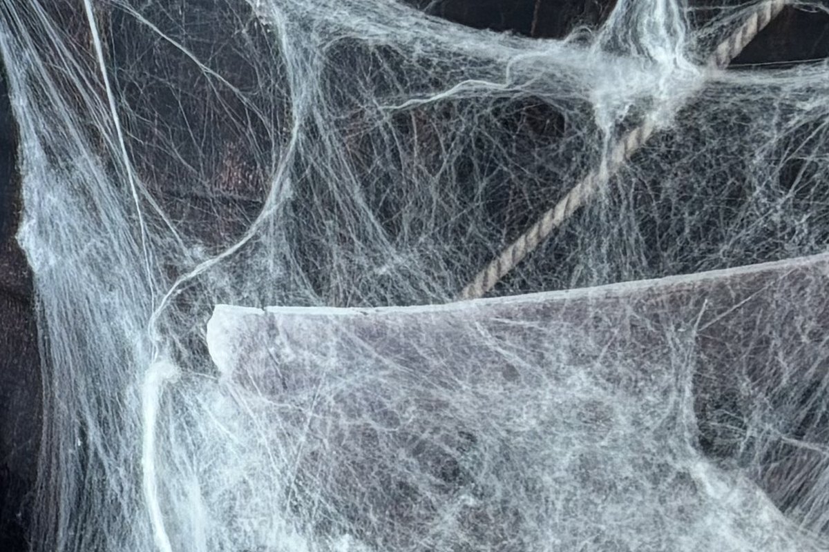 Toiles d'araignée tendues dans le décor du Repère de la Sorcière, animation escape game mobile pour Halloween