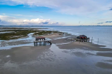 Activités à faire à Nantes