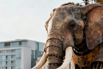 Activités à faire à Nantes