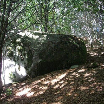 Forêt de Chabrières