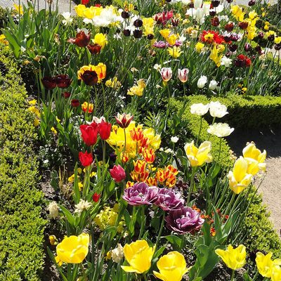 Jardin botanique de l'Évêché