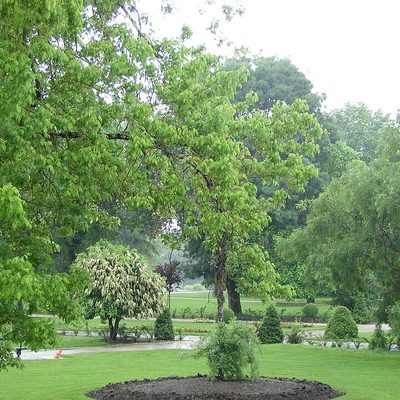 Jardin Public