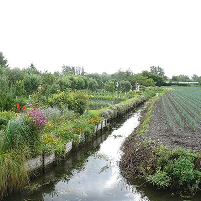 Hortillonnages