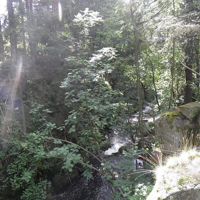 Saut des Cuves