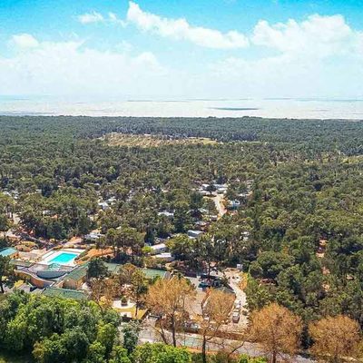 Le Domaine des Pins
