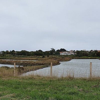 Marais breton vendéen