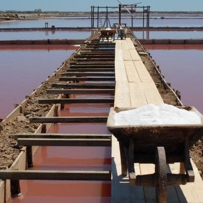 Salins de l’île Saint-Martin